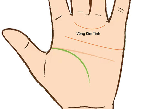 Giải mã ý nghĩa của vòng kim tinh trên lòng bàn tay 