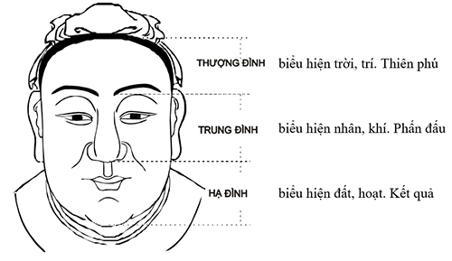 Nhân tướng học trong xem tướng mặt (kì 1): Xem tướng khuôn mặt và tai