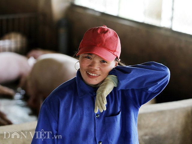 nữ đại gia nuôi lợn, trang trại của đàn lợn khủng, mô hình trang trại, nữ đại gia, Trần Thị Bé, Hiệp Hòa, Bắc Giang, không biết chữ