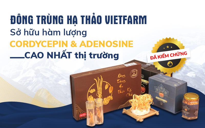 Đông trùng hạ thảo Vietfarm - Sở hữu hàm lượng dưỡng chất cao nhất thị trường, sánh ngang “sâu vàng” Tây Tạng 