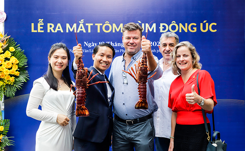 Hải Sản Hoàng Gia tiên phong nhập khẩu Tôm hùm Đông Úc về Việt Nam