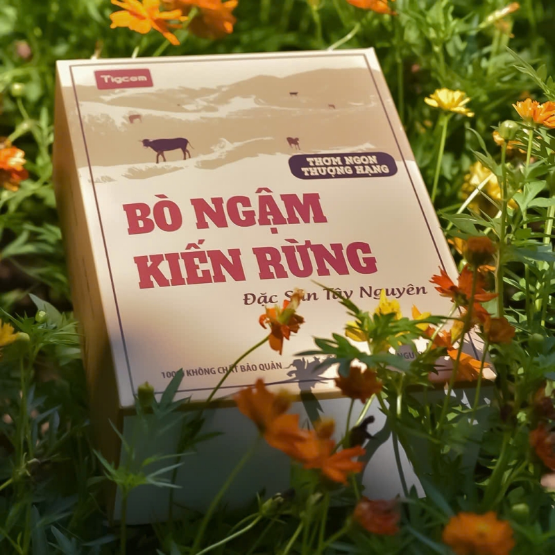 Bò Ngậm Kiến Rừng TIGCOM - Đặc sản độc đáo của Tây Nguyên