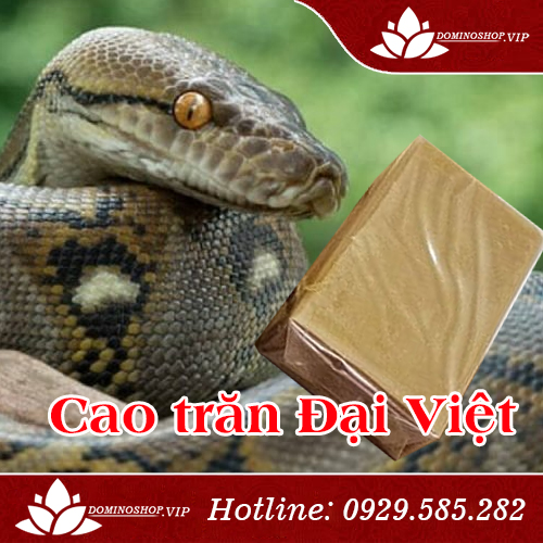 Cao trăn Đại Việt