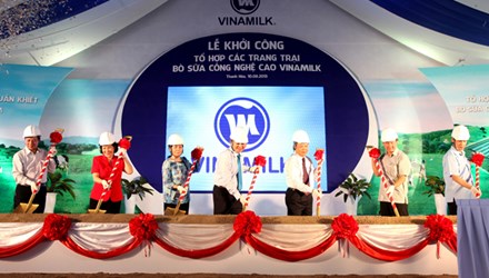 Vinamilk khởi công tổ hợp trang trại bò sữa công nghệ cao tại Thanh Hóa 