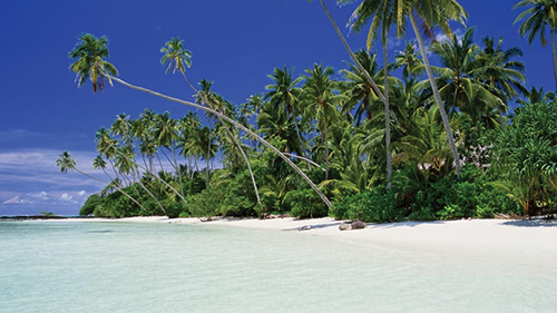 Địa chỉ: Bãi biển Lalomanu, Lalomanu, Upolu, Samoa