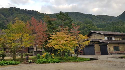 Lá chuyển màu đầu thu ở làng cổ Shirakawa-go