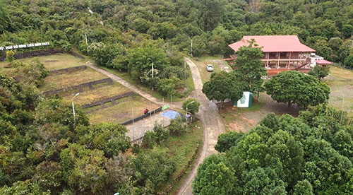 Rừng sở thôn Đồng Long (xã Đồng Tâm) là khu vực diễn ra nhiều hoạt động trong khuôn khổ Hội hoa sở Bình Liêu năm 2022.