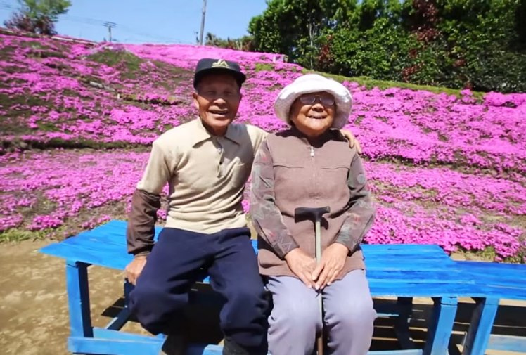 Cụ ông Nhật Bản trồng cả cánh đồng hoa để tìm lại nụ cười cho người vợ mù