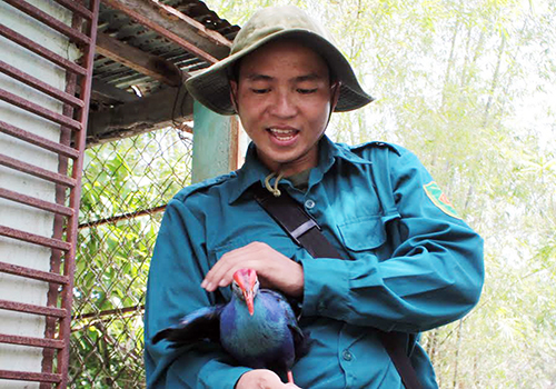 Kỹ sư trẻ bỏ Sài Gòn về quê làm bạn với chim, cá 