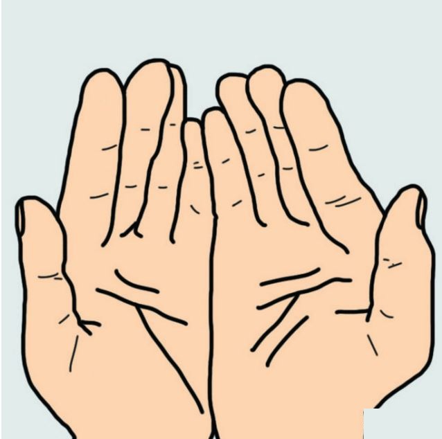 5 đường quan trọng bậc nhất trong xem bói chỉ tay